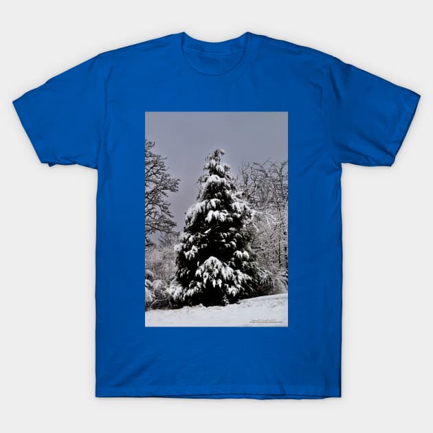 Southern Illinois Winter Scene 5_ Dec 2012 T-Shirt by michaelasamples